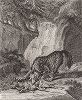 Волк, пожирающий добычу. Гравюра Иоганна Элиаса Ридингера из Entwurff Einiger Thiere ..., Аугсбург, 1740. 