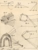 Оптика. Фокус, высота, радуга (Ивердонская энциклопедия. Том VI. Швейцария, 1778 год)