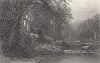 Девственный лес Эдирондак-вуд, север штата Нью-Йорк. Лист из издания "Picturesque America", т.II, Нью-Йорк, 1874.
