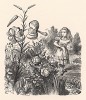 Ах, Лилия... Как жалко, что вы не умеете говорить! (иллюстрация Джона Тенниела к книге Льюиса Кэрролла «Алиса в Зазеркалье», выпущенной в Лондоне в 1870 году)