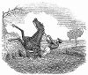 Участник стипл-чейза -- вида скачек по пересечённой местности до заранее условленного пункта, проводимых в графстве Нортгемптоншир, чья лошадь встала на дыбы, испугавшись переправы через ручей (The Illustrated London News №101 от 06/04/1844 г.)