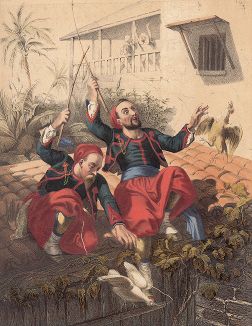 Французские зуавы в курятнике. Париж, 1850-е гг.