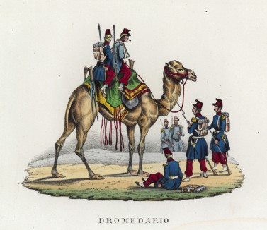 Верблюд как военно-транспортное средство (иллюстрация к L'Africa francese... - хронике французских колониальных захватов в Северной Африке, изданной во Флоренции в 1846 году)