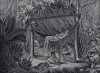 Семья индейцев пури ожидает, когда пожарится лягушка (лист 49 второго тома работы профессора Шинца Naturgeschichte und Abbildungen der Menschen und Säugethiere..., вышедшей в Цюрихе в 1840 году)