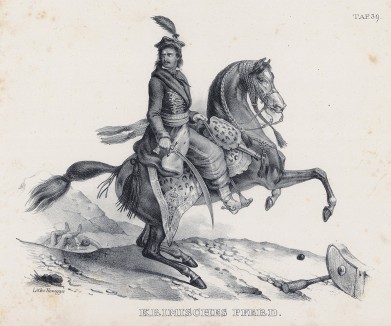 Всадник на крымской лошади (лист 39 первого тома работы профессора Шинца Naturgeschichte und Abbildungen der Menschen und Säugethiere..., вышедшей в Цюрихе в 1840 году)