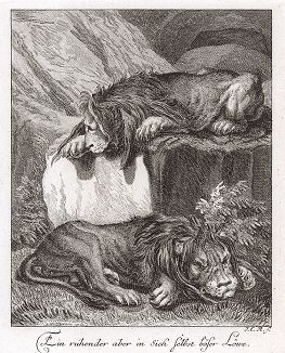 Сердитые львы. Гравюра Иоганна Элиаса Ридингера из Entwurff Einiger Thiere ..., Аугсбург, 1738. 