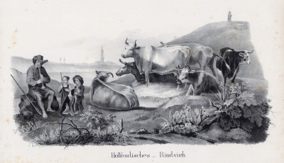 Голландский пастух солирует на свирели для деток и стада (лист 72 первого тома работы профессора Шинца Naturgeschichte und Abbildungen der Menschen und Säugethiere..., вышедшей в Цюрихе в 1840 году)
