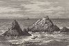 Тюленьи скалы, часть островов Фараллон, штат Калифорния. Лист из издания "Picturesque America", т.I, Нью-Йорк, 1872.