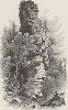 Скала Каминная труба, остров Макино, штат Мичиган. Лист из издания "Picturesque America", т.I, Нью-Йорк, 1872.