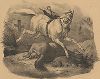 Пиренейская лошадь. Литография Виктора Адама.