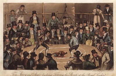 Том, Джери и Лоджик болеют за Томми - "Победителя" на Королевской петушиной арене. Акватинта Джорджа Крукшенка. Лондон, 1822