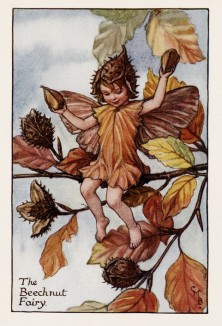 Осенние феи: фея плодов букового дерева