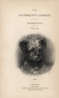 Титульный лист тома V "Библиотеки натуралиста" Вильяма Жардина, изданного в Эдинбурге в 1840 году и посвящённого естествоиспытателю дону Феликсу д'Азара (на миниатюре портрет пса)