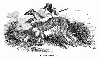 Охота с благородными английскими борзыми (Supplement to The Illustrated London News от 20/04/1844 г.)