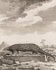 Панголин из рода ящеров (живёт в полном одиночестве, размножается один раз в год) (лист XV иллюстраций к четвёртому тому знаменитой "Естественной истории" графа де Бюффона, изданному в Париже в 1753 году)