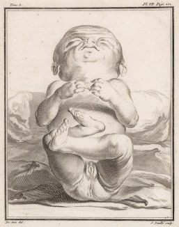 Новорождённый (лист VII иллюстраций к третьему тому знаменитой "Естественной истории" графа де Бюффона, изданному в Париже в 1750 году)