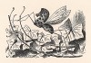 Взгляни-ка на тот куст! Там на ветке сидит... Знаешь кто? Баобабочка! (иллюстрация Джона Тенниела к книге Льюиса Кэрролла «Алиса в Зазеркалье», выпущенной в Лондоне в 1870 году) 