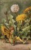 Весенние феи: фея цветов одуванчика