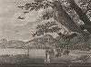 Вид берега около Нагасаки с изображением японской птицы, именуемой скопа