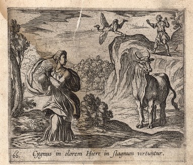 Обращения Кикна в лебедя. Гравировал Антонио Темпеста для своей знаменитой серии "Метаморфозы" Овидия, л.66. Амстердам, 1606