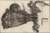 Анатомия. Строение матки по Галлеру (Ивердонская энциклопедия. Том I. Швейцария, 1775 год)