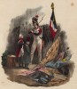 Аллегория победы (гренадер Старой гвардии на фоне поверженных вражеских знамён) (из Esquisses historiques... de l'armée francaise генерала Амбера. Брюссель. 1841 год)
