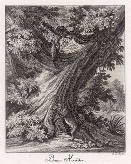 Лесные куницы. Гравюра Иоганна Элиаса Ридингера из Entwurff Einiger Thiere ..., Аугсбург, 1740. 