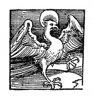 Орёл, символ Иоанна Богослова (Евангелиста). Ганс Бальдунг Грин. Иллюстрация к Hortulus Animae. Издал Martin Flach. Страсбург, 1512
