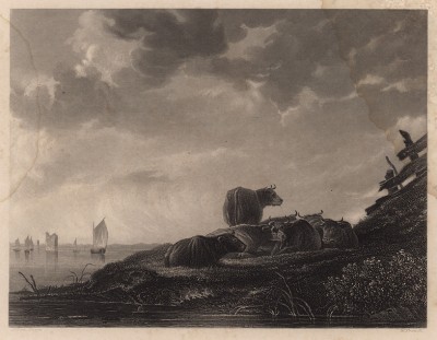 Пейзаж с коровами. Гравюра с картины Альберта Кёйпа. Картинные галереи Европы, т.3. Санкт-Петербург, 1864