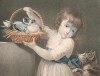 Том и голуби. Гравюра в технике цветного пунктира, исполненная Чарльзом Найтом, одним из основателей Общества гравёров. Лондон, 1803
