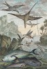 Птицы, охотящиеся за рыбами. Гравюра из тома I Histoire generale des voyages... аббата Прево. Париж, 1745