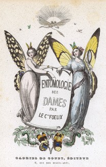 Les Papillons, métamorphoses terrestres des peuples de l'air par Amédée Varin. Фронтиспис раздела, посвященного энтомологии. Париж, 1852