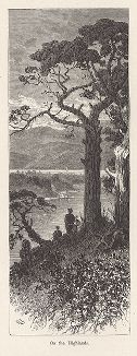 На холмах в окрестностях реки Шрусбери-ривер, штат Нью-Джерси. Лист из издания "Picturesque America", т.I, Нью-Йорк, 1872.