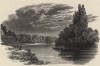 Вид на Темзу близ Роубак Инн (иллюстрация к работе "Пресноводные рыбы Британии", изданной в Лондоне в 1879 году)