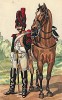 1805 г. Кавалерист 25-го драгунского полка французской армии. Коллекция Роберта фон Арнольди. Германия, 1911-28