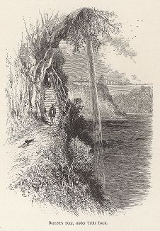 Ступени Барнетта под Столовой скалой, Ниагарский водопад. Лист из издания "Picturesque America", т.I, Нью-Йорк, 1872.