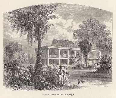 Усадьба плантатора в дельте реки Миссисипи. Лист из издания "Picturesque America", т.I, Нью-Йорк, 1872.