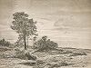 Пустынный берег на Ладожском озере. Лист № 24 из альбома И.И. Шишкина "Рисунки углем, вопроизведенные способом фототипии", Санкт-Петербург, 1885. 