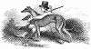 Охота с благородными английскими борзыми (Supplement to The Illustrated London News от 20/04/1844 г.)