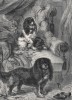 Ранний вид тойспаниеля из "Книги собак" Веро Шоу, изданной в Лондоне в 1881 году