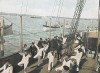 Гимнастика на борту французского военного корабля. L'Album militaire. Livraison №9. Marine. La vie à bord. Париж, 1890