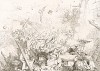 27 июля 1478 года. 80-тысячная турецкая армия под командованием Сулейман-Паши терпит поражение от венецианцев под стенами города Шкодер. Storia Veneta, л.88. Венеция, 1864