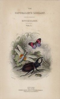 Титульный лист XXXIV тома "Библиотеки натуралиста" Вильяма Жардина, изданного в Эдинбурге в 1843 году и посвящённого барону Дегееру (на миниатюре изображены жучки-паучки в хороший день)
