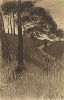 Сосны на лугу. Офорт Фритца Понтини, 1901 год. 