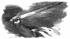 Прусский меч. Илл. Адольфа Менцеля. Geschichte Friedrichs des Grossen von Franz Kugler. Лейпциг, 1842, с.295