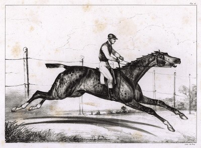 Чрезвычайно испуганная скаковая лошадь с сидящим на ней жокеем. Французская литография 2-й четверти XIX века