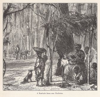Придорожная сценка вблизи Чарльстона, штат Южная Каролина. Лист из издания "Picturesque America", т.I, Нью-Йорк, 1872.