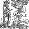 Иисус у древа познания Добра и Зла. Зебальд Бехам для Johann Schwarzenberg / Beschworung der Schlange. Издал Hans Herrgott, Нюрнберг, 1525