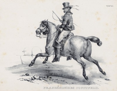 Французский конный почтальон (лист 41 первого тома работы профессора Шинца Naturgeschichte und Abbildungen der Menschen und Säugethiere..., вышедшей в Цюрихе в 1840 году)