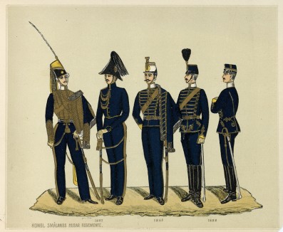 Шведские гусары в 1807--1888 гг. (полк Smalands (шв.))
